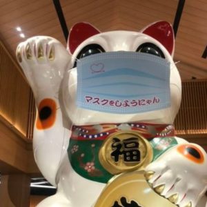 とことこトコタンさん