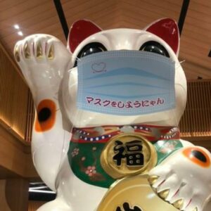 とことこトコタンさん<br>