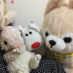 きらりんさん